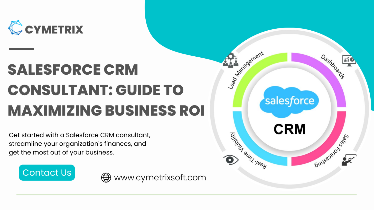 Salesforce CRM Consultant: Guide to maximizing Business ROI