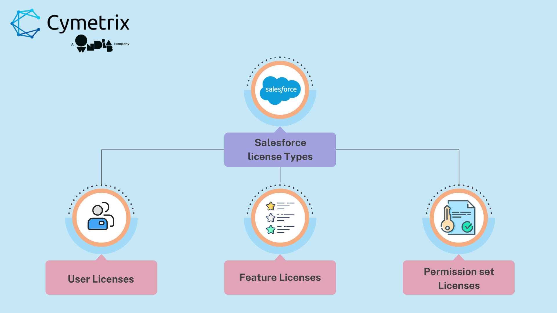 License Types