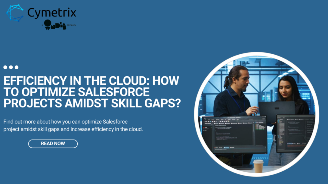 Efficiency in the Cloud: How to Optimize Salesforce Projects Amidst Skill Gaps?